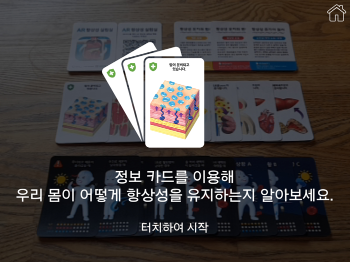 AR 항상성 실험실