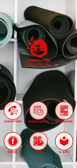 Game screenshot Pigrilates mod apk