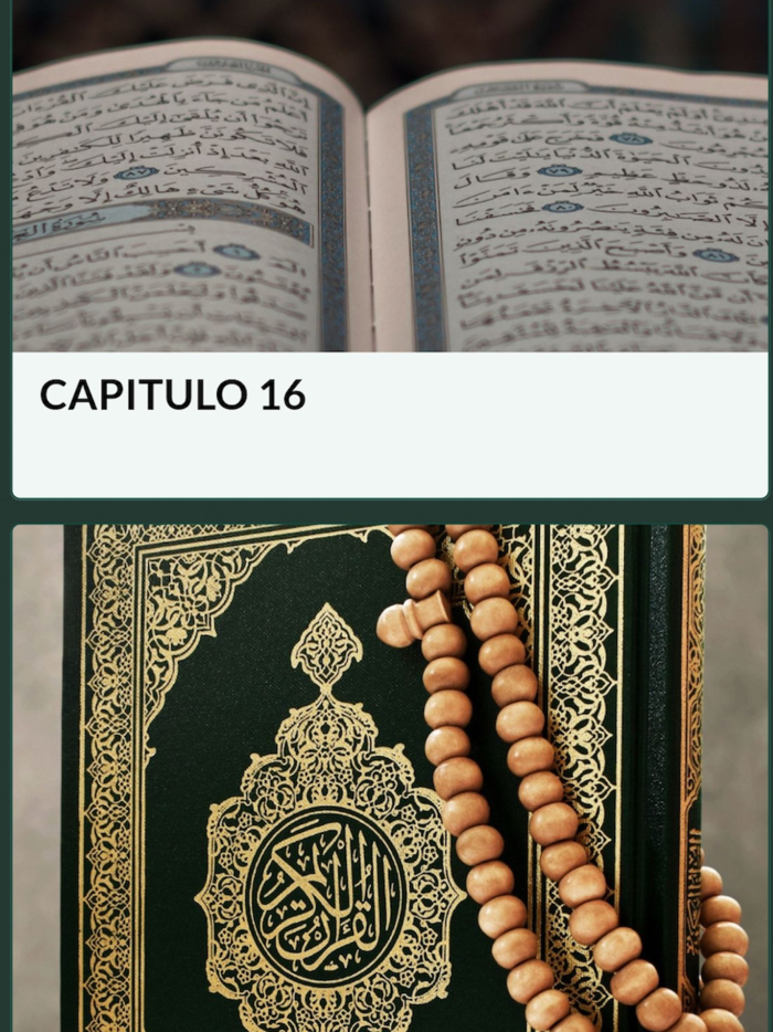 Corán en Español Pro