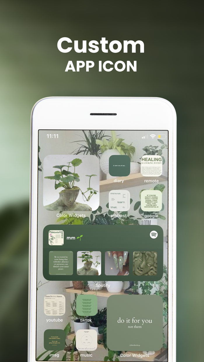 Fancy Themes Icons and Widgets