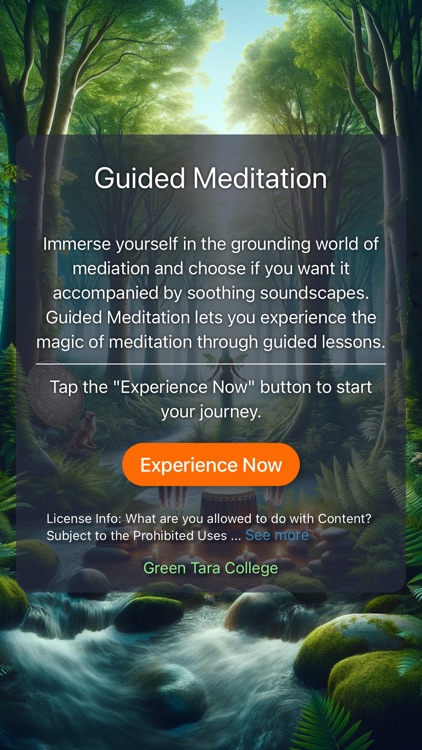 Guided Meditation