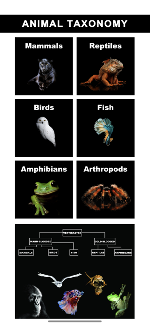 Captura de tela de taxonomia animal