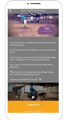 Game screenshot Horsemanship Insider hack