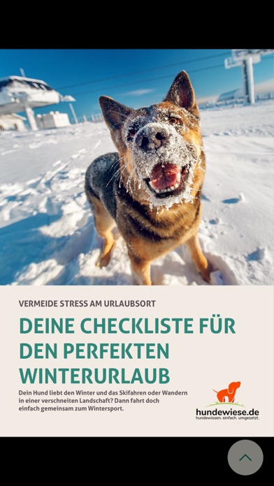 Liebe zum Hund Screenshot