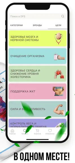Game screenshot DFS - всё для здоровья в Омске apk