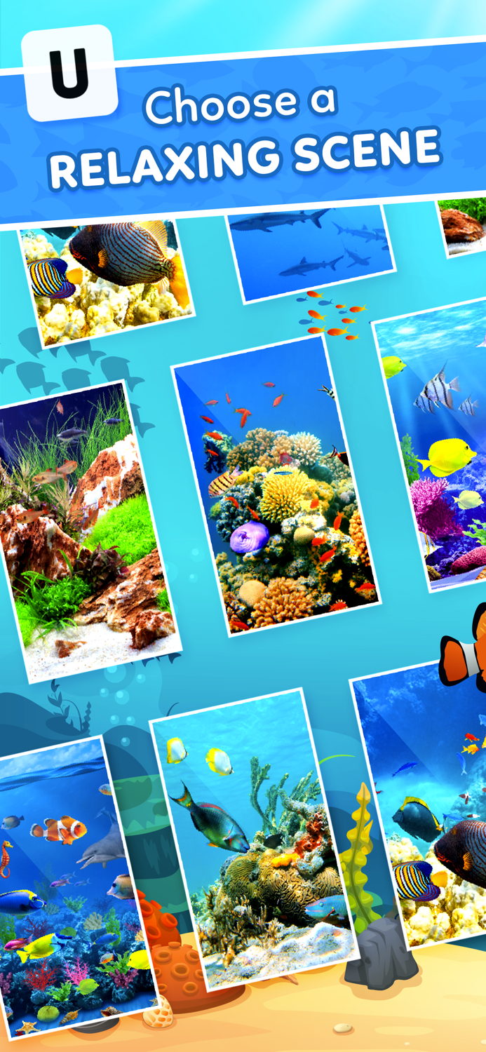 Word Splash Cross Words Game