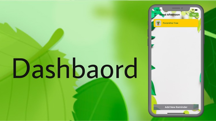 SupankhaBotanicRoots