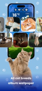 Weather Kitty - Cute Cat radar screenshot #8 for iPhone