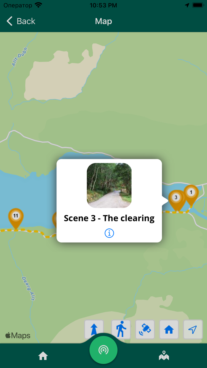 Loch Arkaig Pine Forest