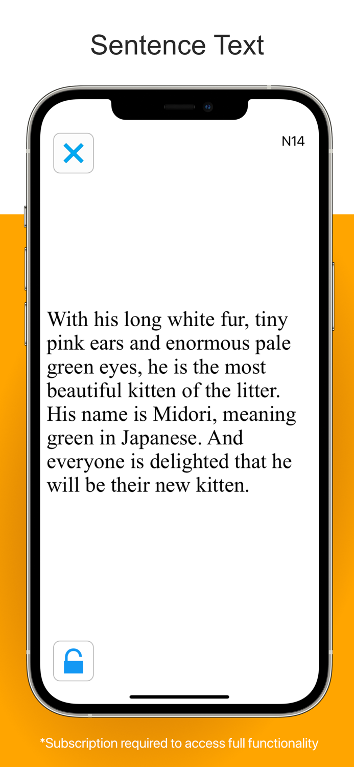 Kay iSight Test Professional