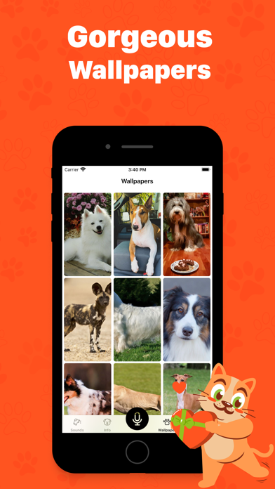 Human to cat translator app Screenshot