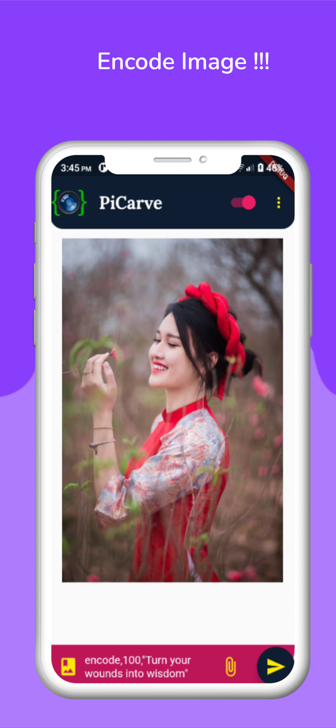 PiCarve