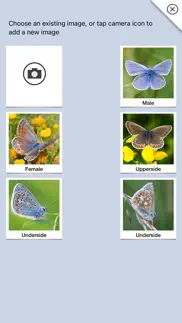 How to cancel & delete butterflies & day moths uk 3