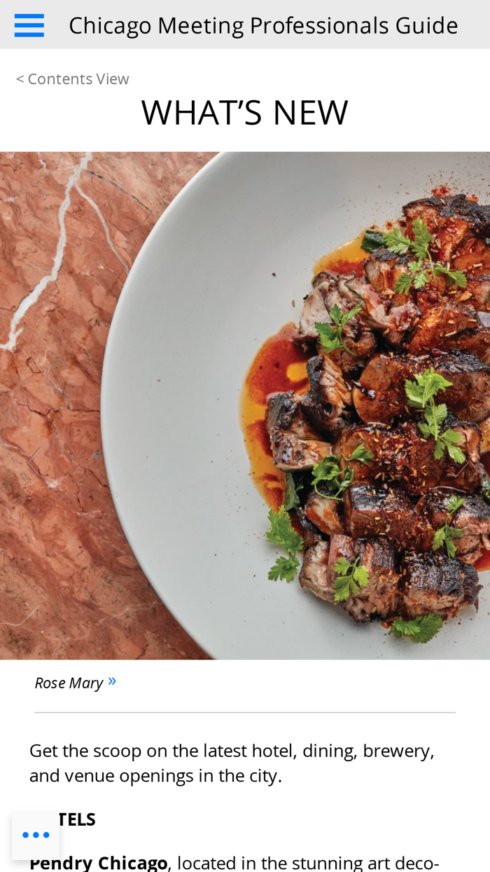 Chicago Meeting Planners Guide