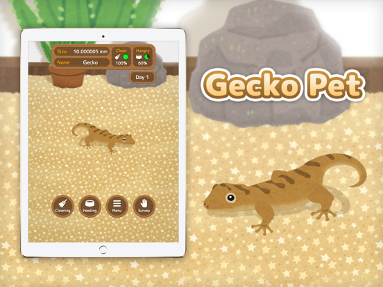 Gecko Pet