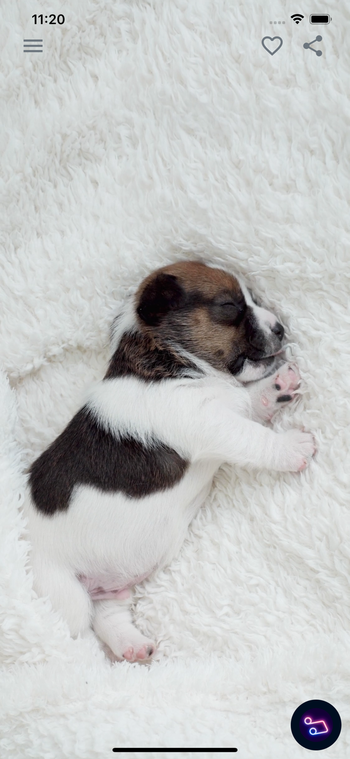 Calm Video - Comfort and Care