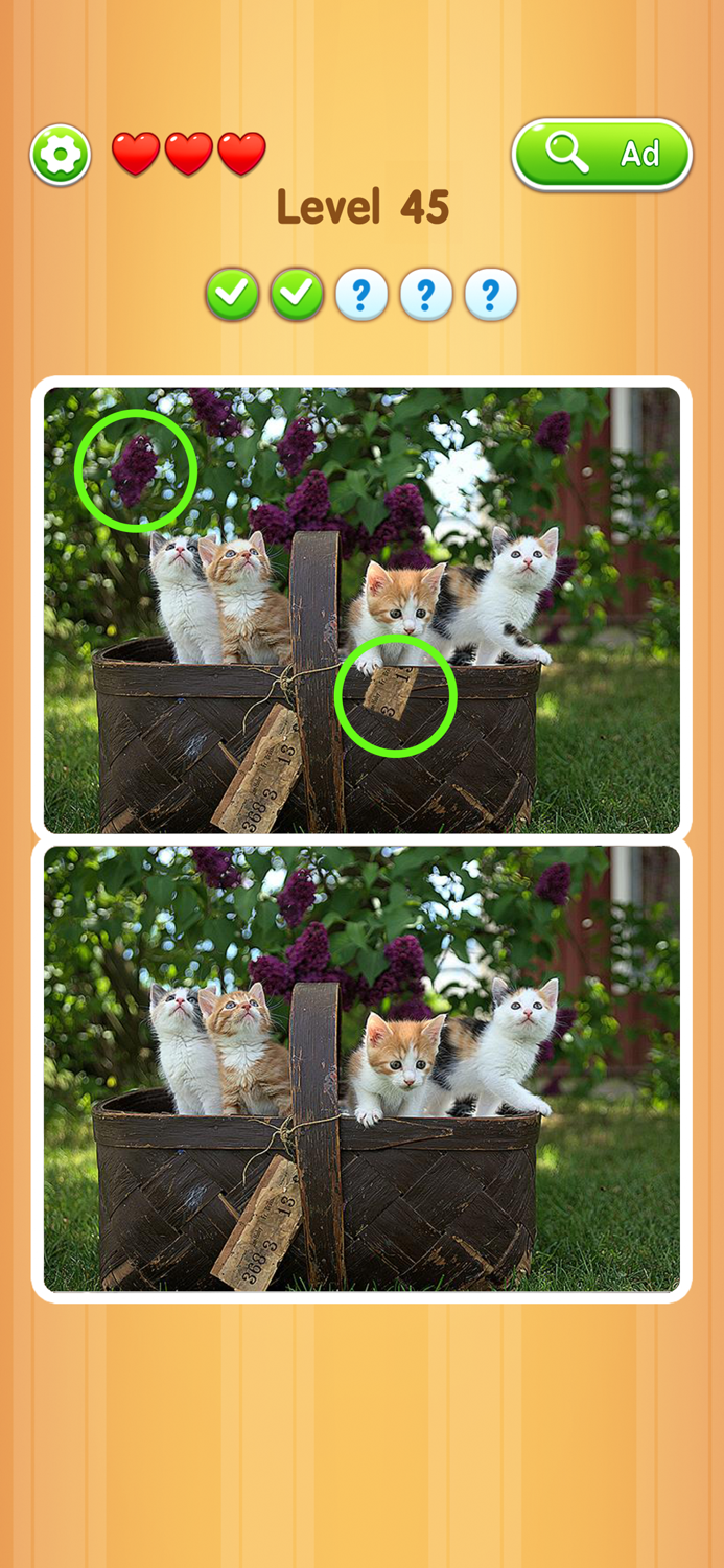 Detect It Picture Puzzle