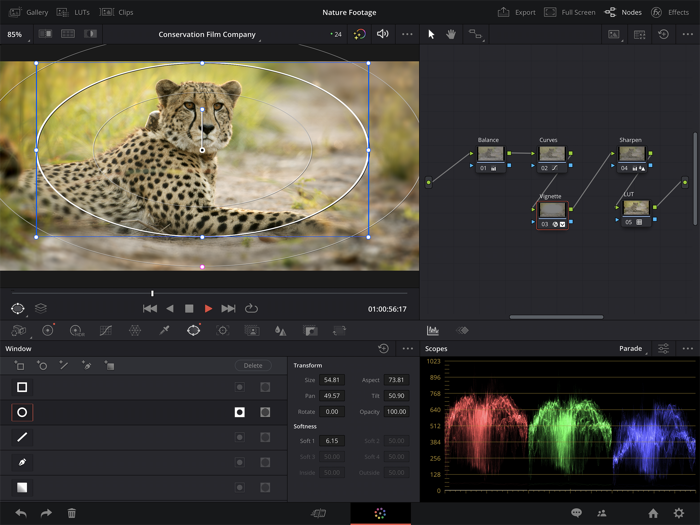 DaVinci Resolve for iPad