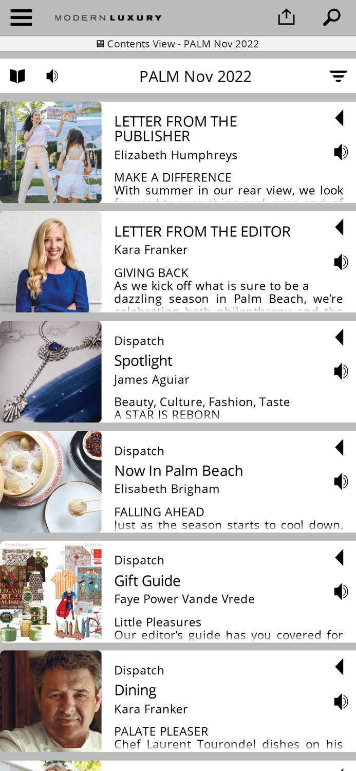 Modern Luxury Palm Beach