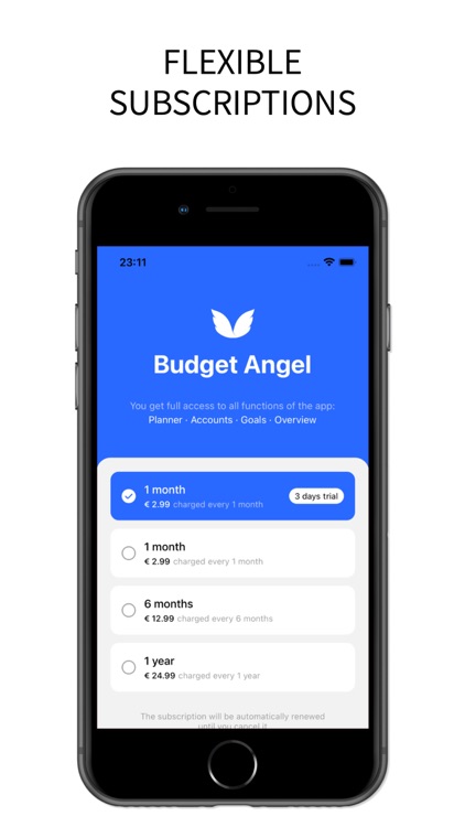 Budget Angel screenshot-3