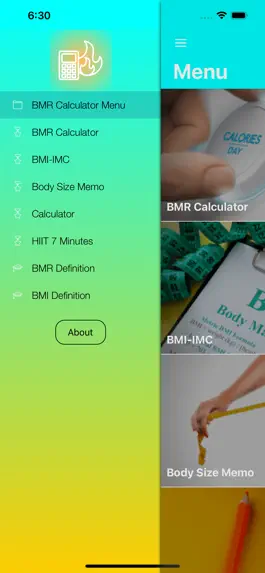 Game screenshot BMR Calculator Body Health apk