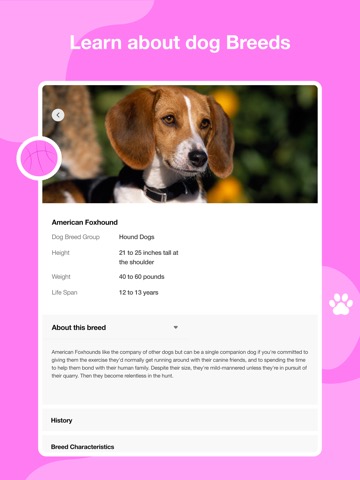 Dog scanner - Dog Breed IDのおすすめ画像3