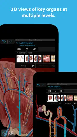 Game screenshot Human Anatomy Atlas 2023 apk