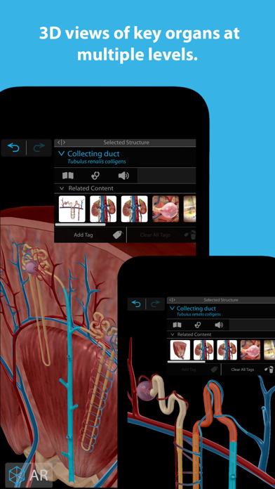 Screenshot 2 of Human Anatomy Atlas 2024 App