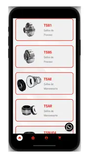 total seals problems & solutions and troubleshooting guide - 4