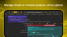 omniplan 4 problems & solutions and troubleshooting guide - 3