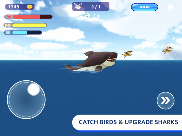 Angry Shark - Hungry World