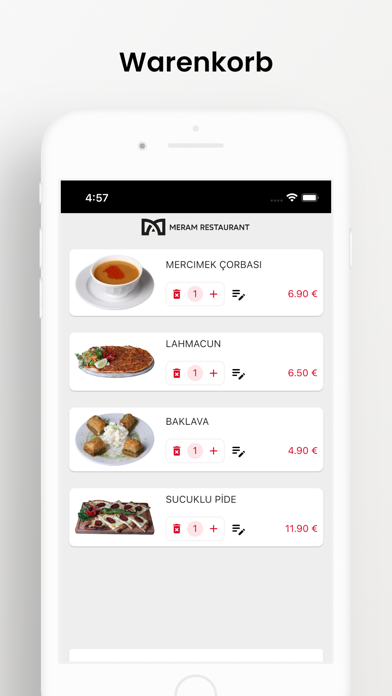 Meram Restaurant Screenshot