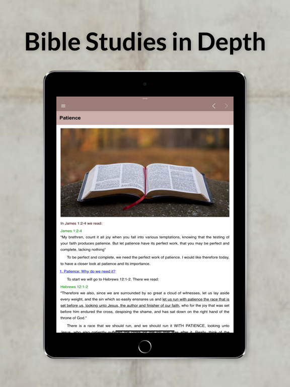 Bible Studies in Depth Daily
