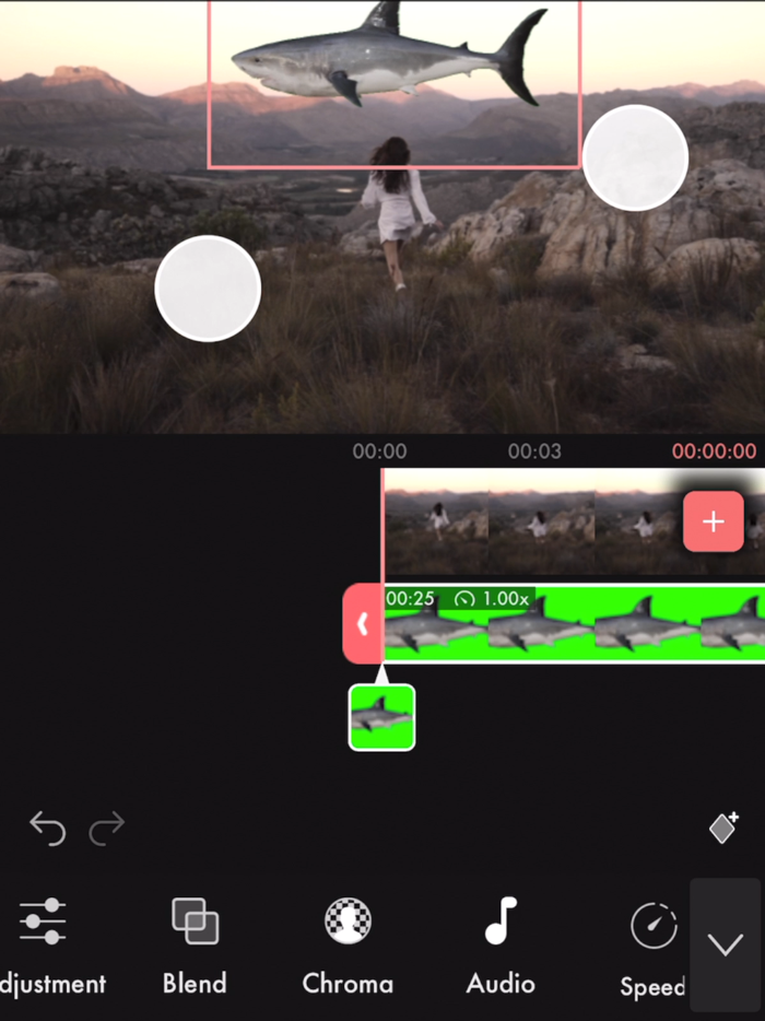 Videoloop Video Editor