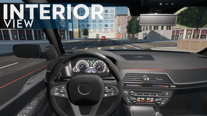 City Car Driving Screenshot