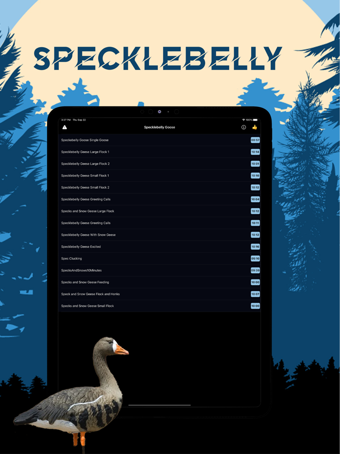 Specklebelly Goose Magnet