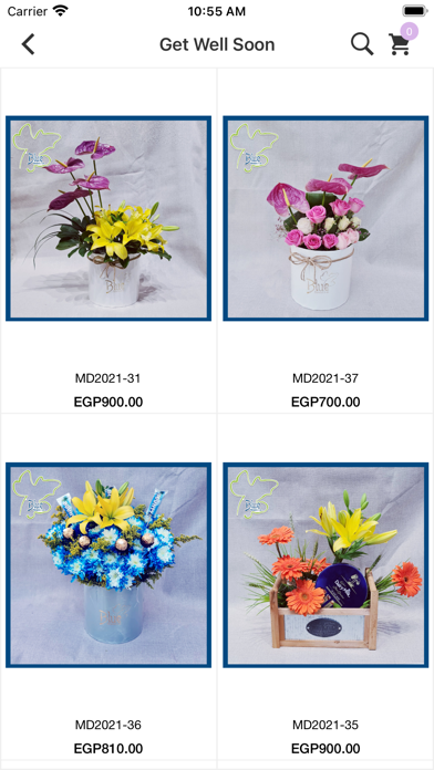 Blue Flowers Shop Screenshot