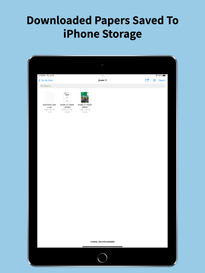 Grade 11 Exam Papers