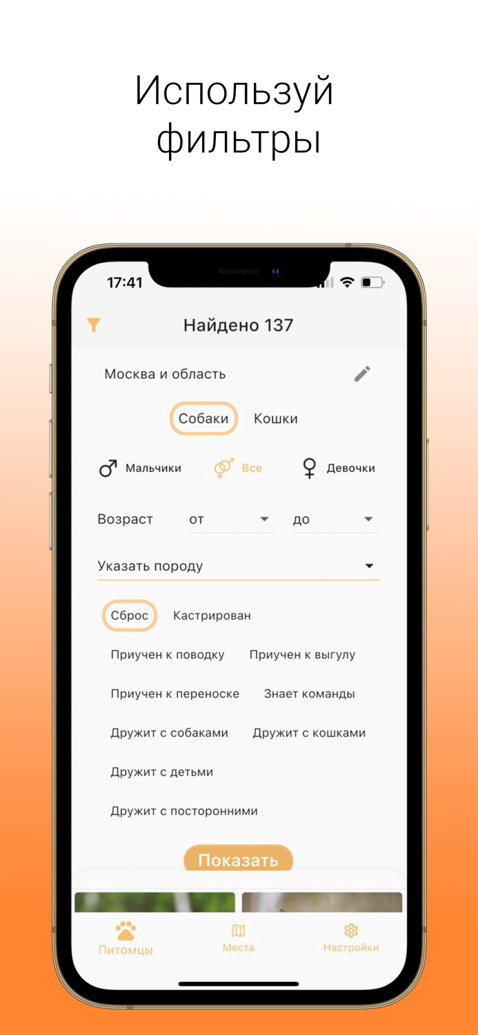 Goodog взять питомца из приюта