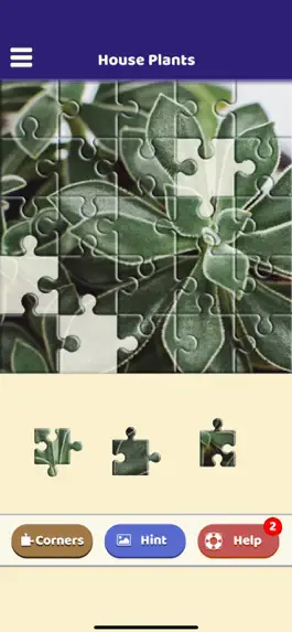 Game screenshot House Plants Puzzle hack