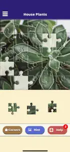 House Plants Puzzle screenshot #3 for iPhone