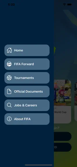 Game screenshot FIFA Home apk