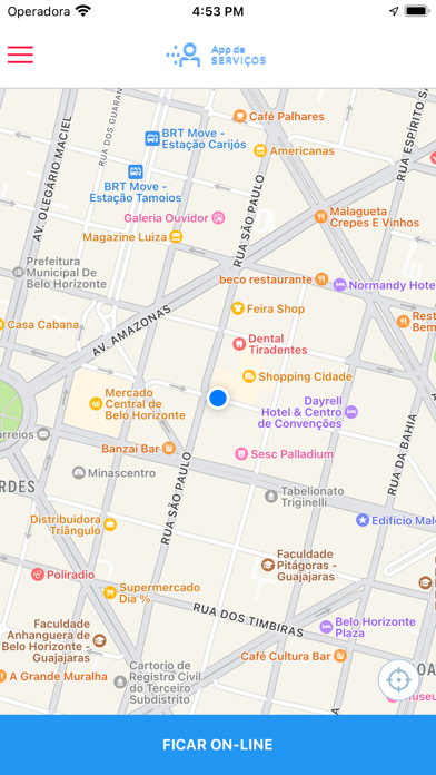ServicesApp - Provider Screenshot