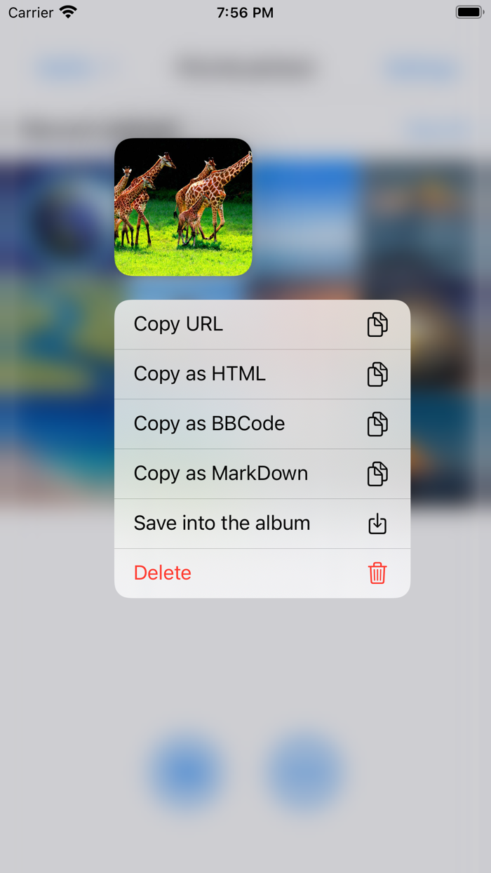 PicLink-Best image Hosting App