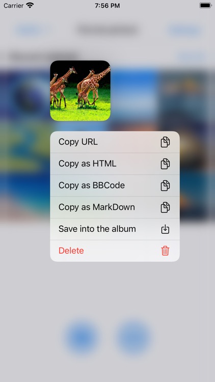 PicLink-Best image Hosting App