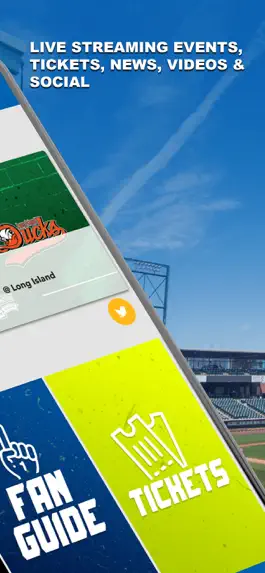 Game screenshot York Revolution apk