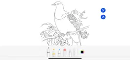 Game screenshot Te Mātahi o te Tau (7-11) hack