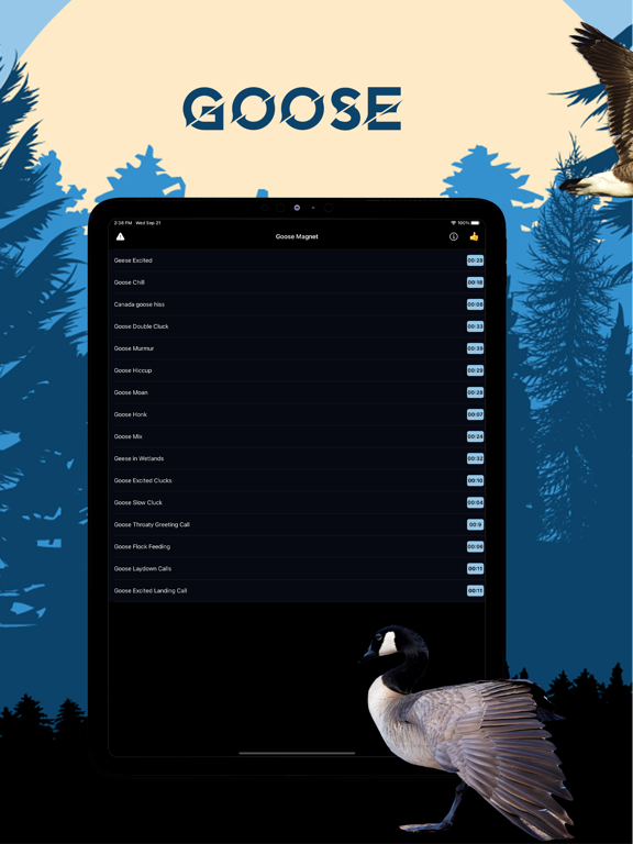 Goose Magnet - Goose Calls iPad screenshot 1 - Sports app
