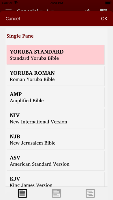 Screenshot #3 pour Yoruba & English Bible