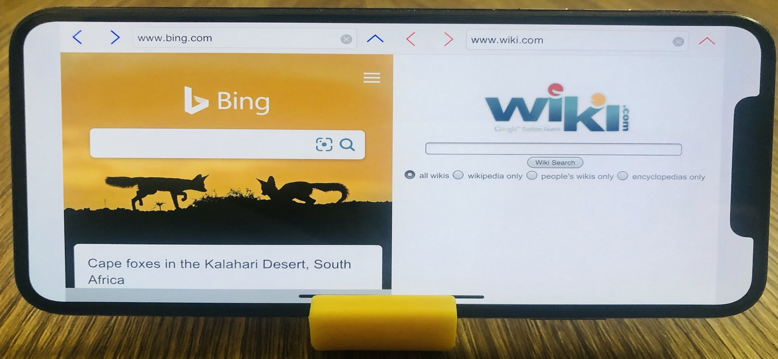 BrowserX2: 2 Browsers at Once